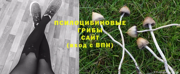 марки nbome Арсеньев