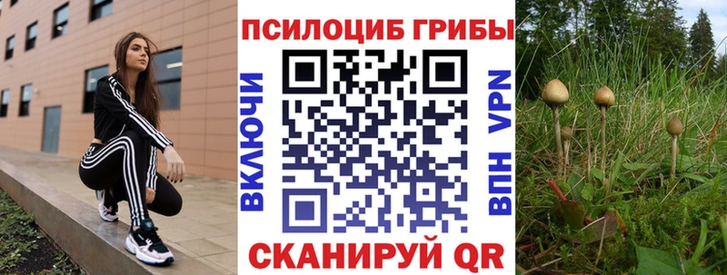 Галлюциногенные грибы мухоморы omg зеркало Бийск